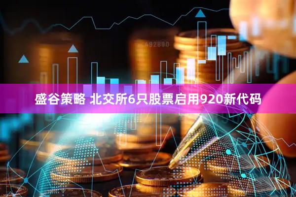 盛谷策略 北交所6只股票启用920新代码