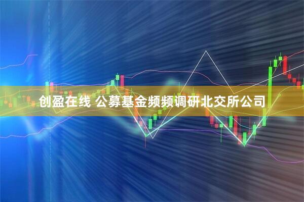 创盈在线 公募基金频频调研北交所公司
