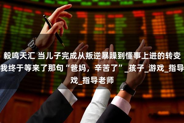 毅鸣天汇 当儿子完成从叛逆暴躁到懂事上进的转变后，我终于等来了那句“爸妈，辛苦了”_孩子_游戏_指导老师