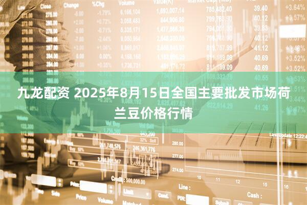 九龙配资 2025年8月15日全国主要批发市场荷兰豆价格行情