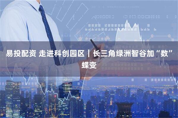 易投配资 走进科创园区|长三角绿洲智谷加“数”蝶变